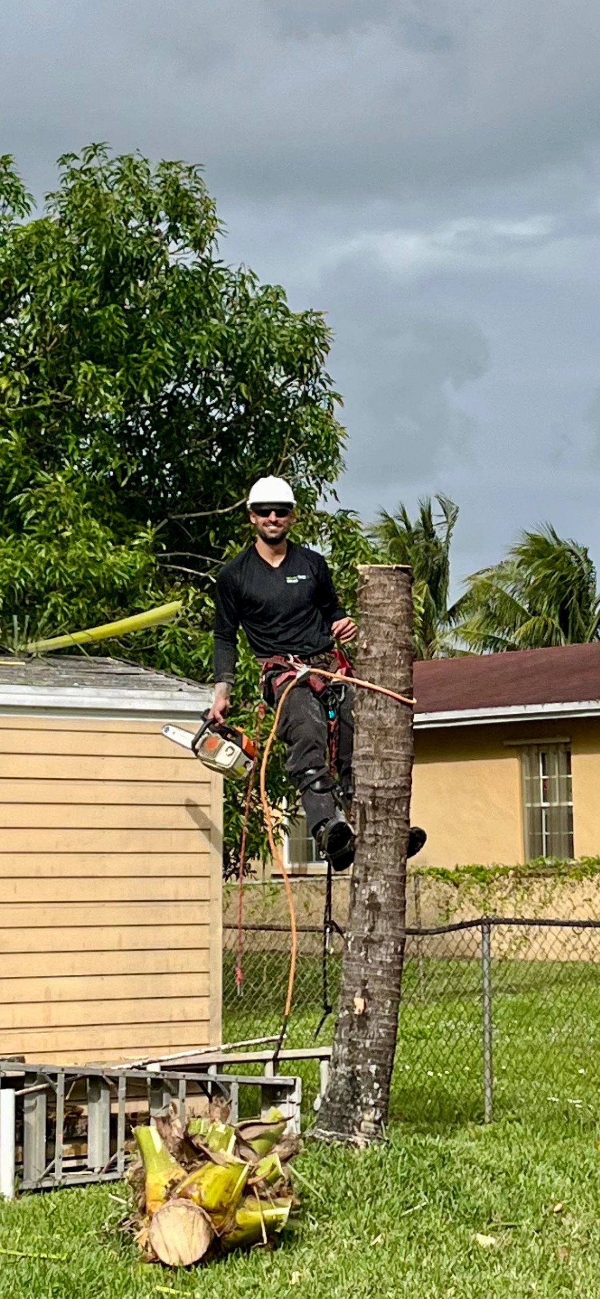 Storm-downed tree being cleared by the Monty crew